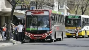 colectivo-linea-2-medidasjpg