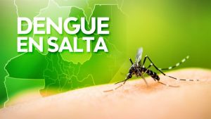 95107-en-la-ultima-semana-se-notificaron-mas-de-1900-casos-de-dengue-en-salta