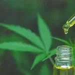 cannabis-medicinal