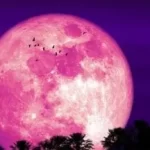 La Nación   /Luna llena de fresa: por qué se la llama así y la conexión con el desembarco de Normandía