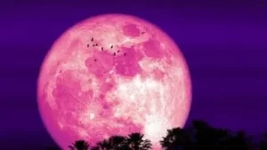 luna-de-fresa_416x234