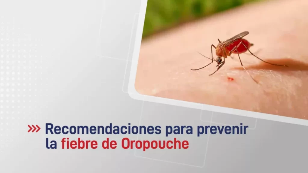 104200-salud-publica-brinda-recomendaciones-para-prevenir-la-fiebre-de-oropouche
