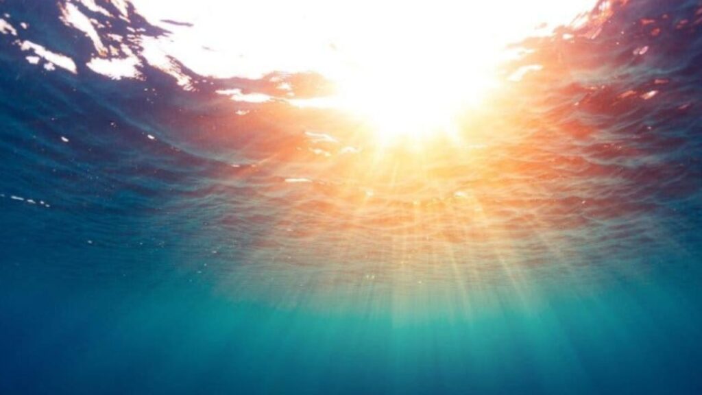 reserva-de-agua-dulce (1)