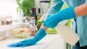 personal-domestico